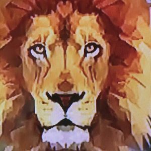 Meet your Posher, Quaton